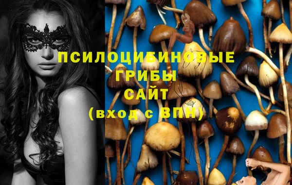 ГАЛЛЮЦИНОГЕННЫЕ ГРИБЫ Сосновка