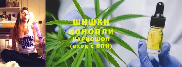 ГАЛЛЮЦИНОГЕННЫЕ ГРИБЫ Сосновка