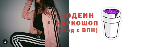 ГАЛЛЮЦИНОГЕННЫЕ ГРИБЫ Сосновка
